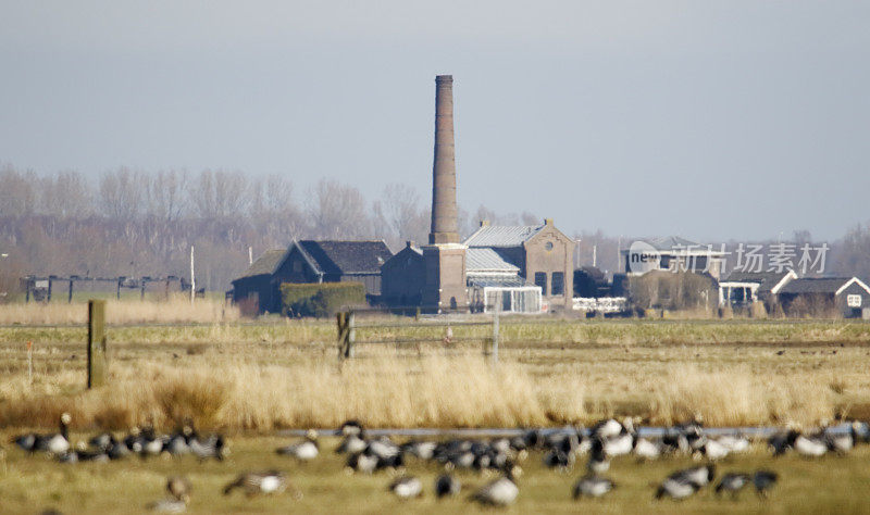 荷兰景观-蒸汽驱动泵站在Polder Arkemheen，附近Nijkerk